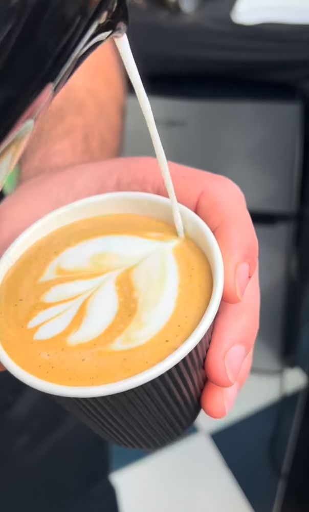 Coffee drinks laid out at a pop-up event
